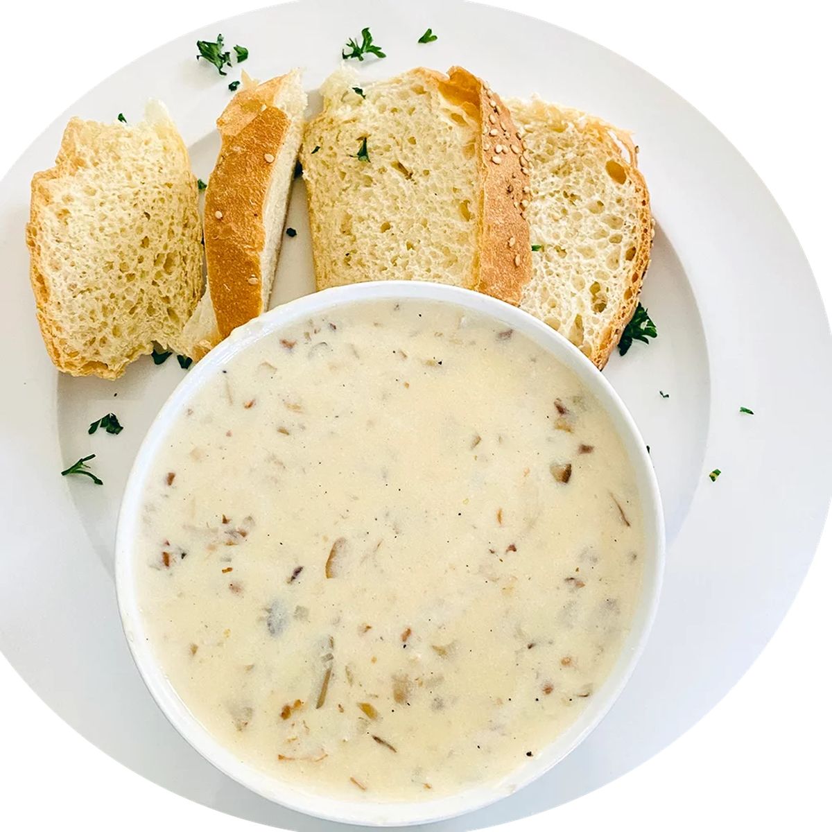 Creamy Oyster Mushroom