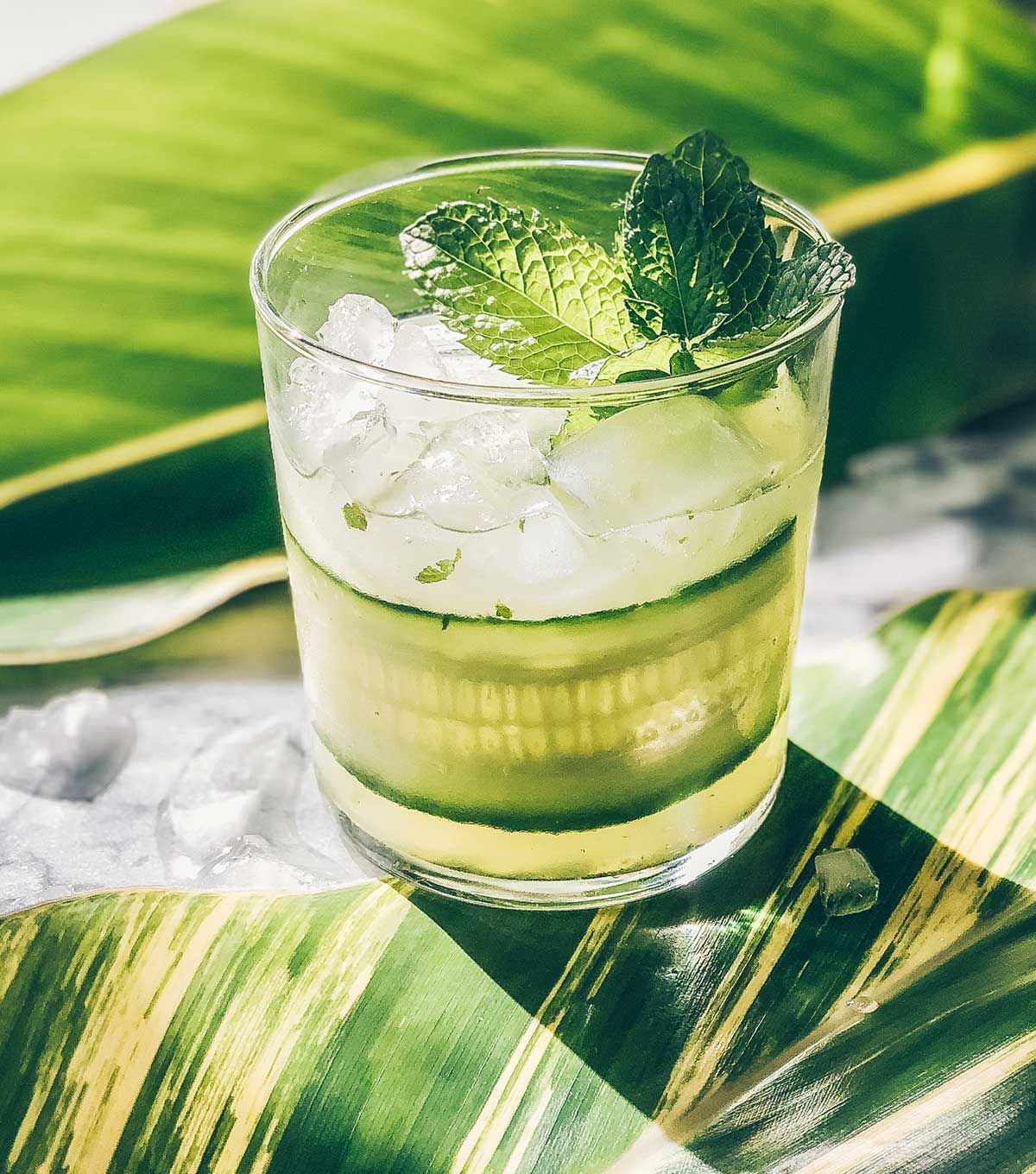 Nile Mule